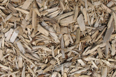 biomass boilers Bampton